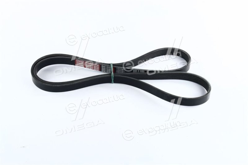 Dongil 5PK1546