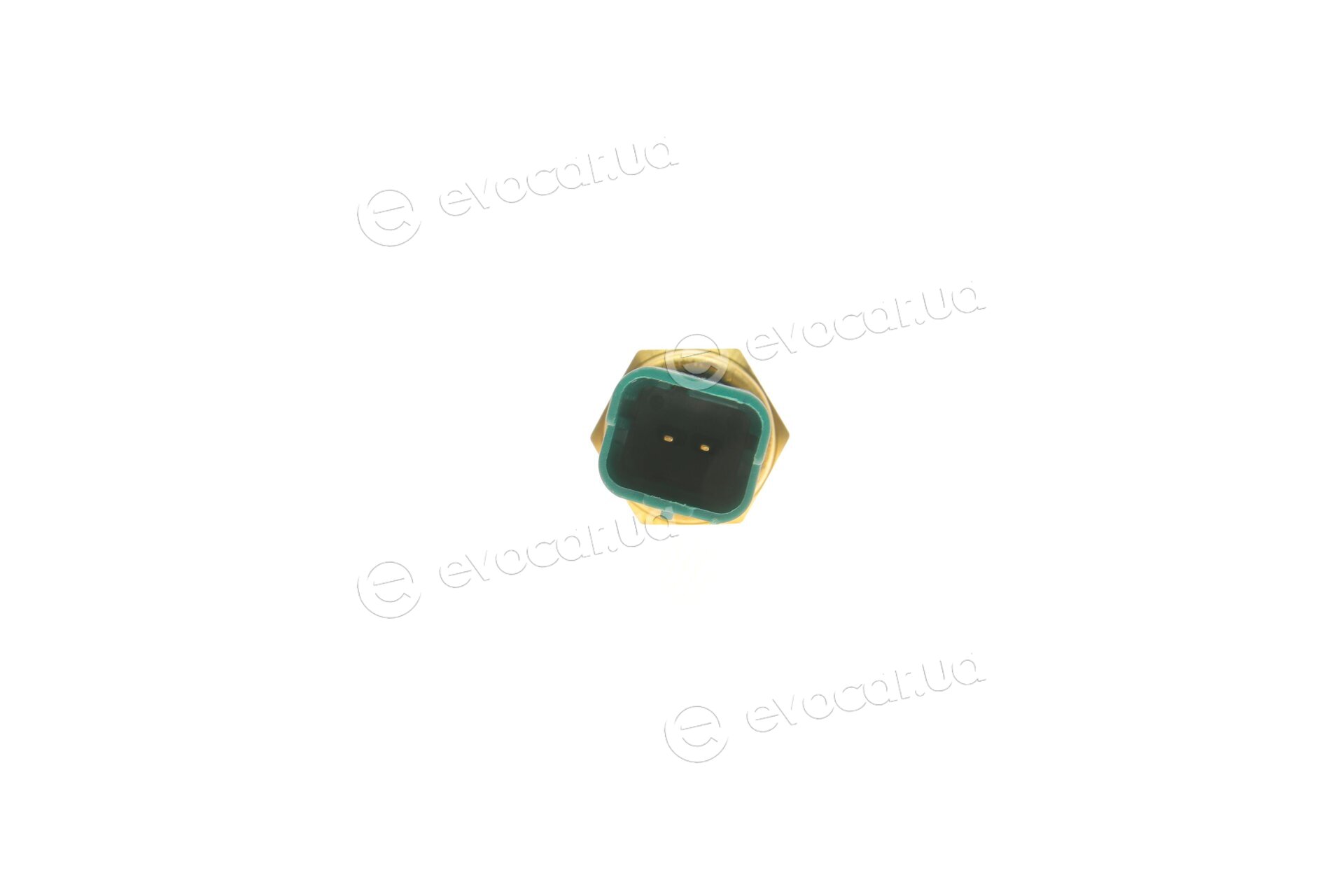 AIC 56477