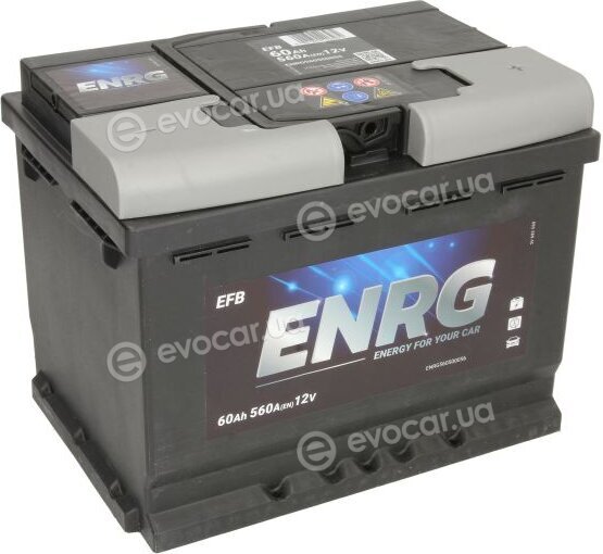 Enrg 560500056