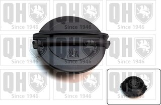 Quinton Hazell FC543