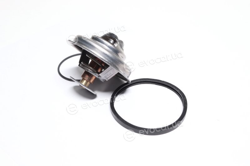 Mahle TX 75 80D