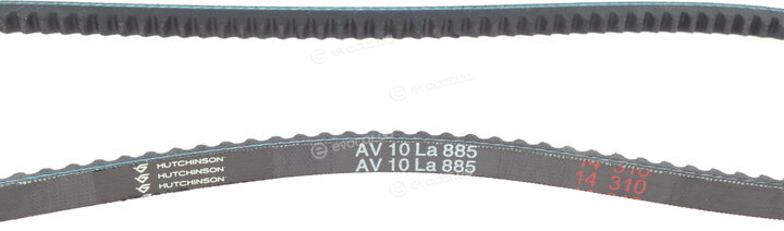Hutchinson AV 10 La 885
