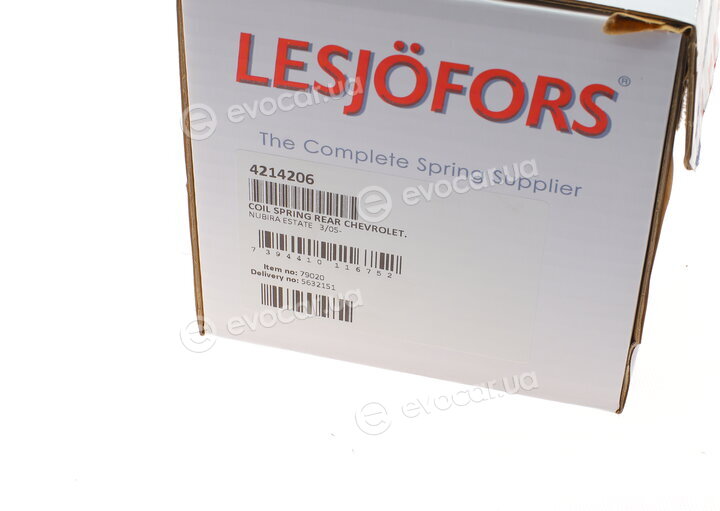 Lesjofors 4214206