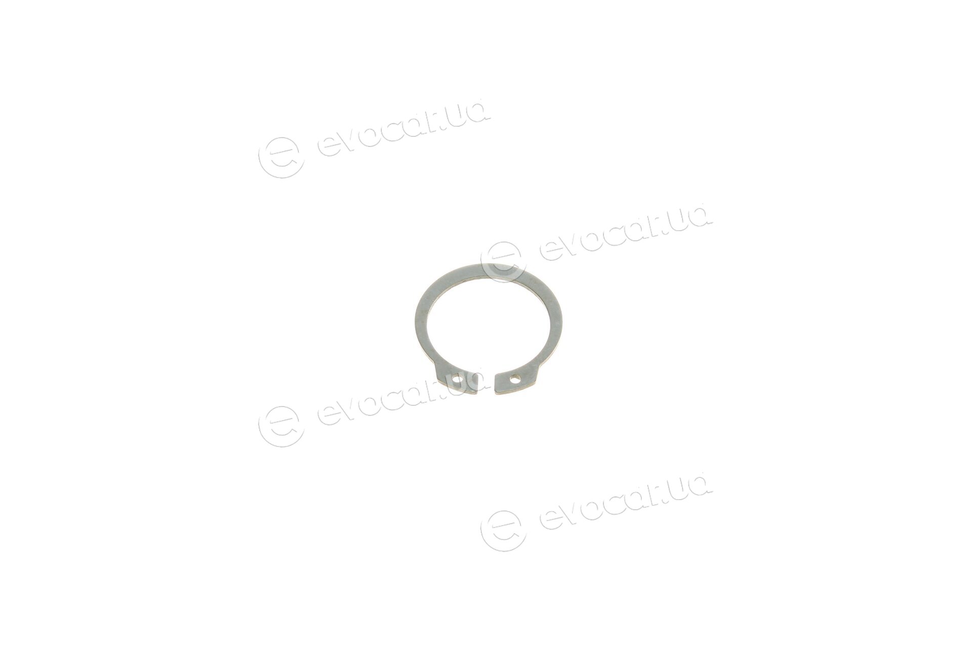 Magneti Marelli 302009100027