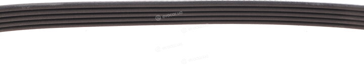 Dayco 5PK853