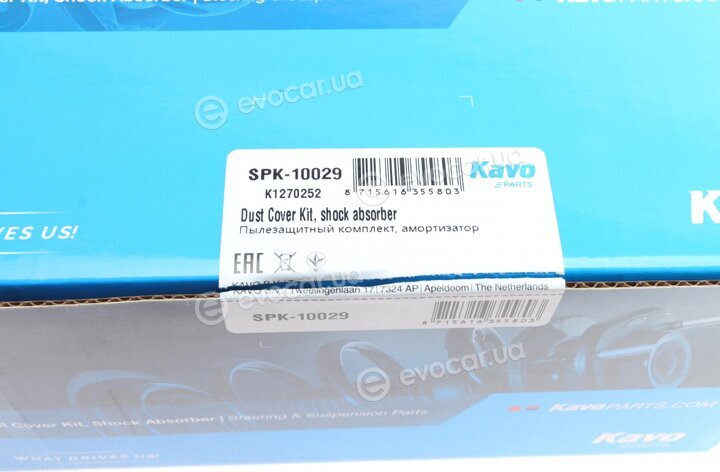 Kavo SPK-10029