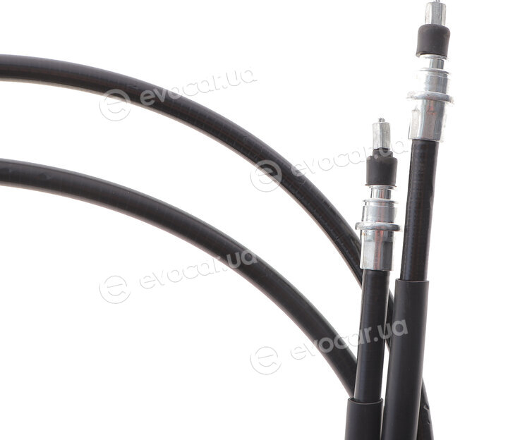 DP BC 43603 BNS