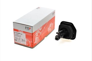 FTE 2108219