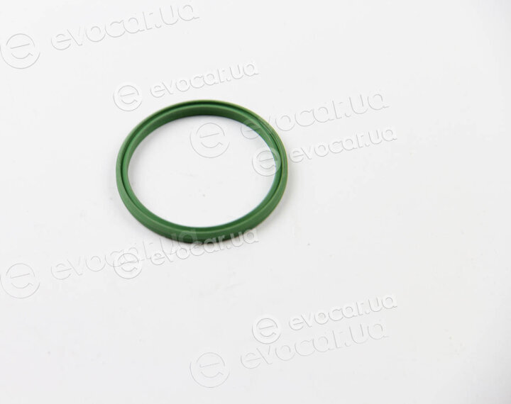 Rapro R25610