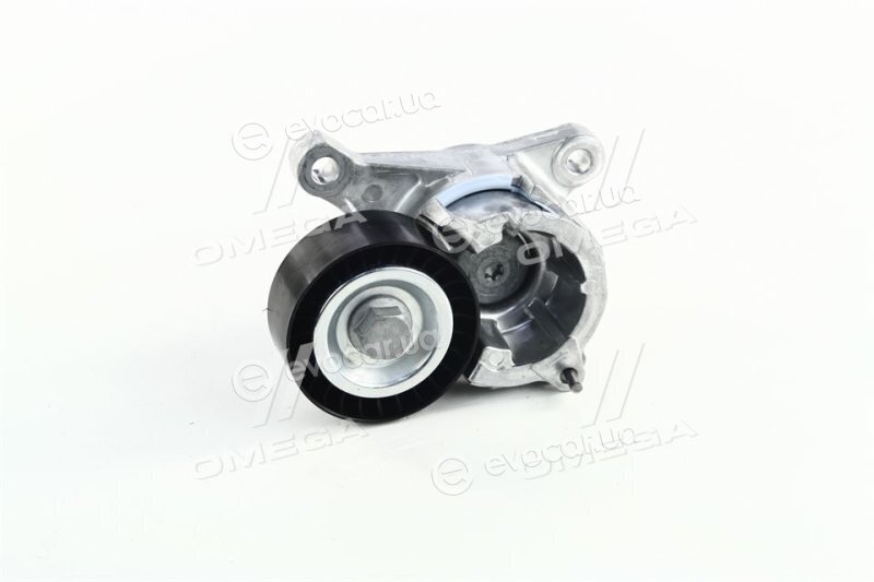 SKF VKM 33019