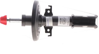 Sachs 315 296