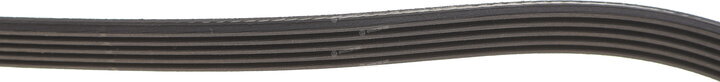 Dayco 5PK1250