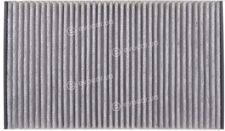 Mahle LAO 229
