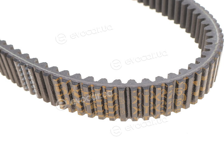 Dayco XTX2260