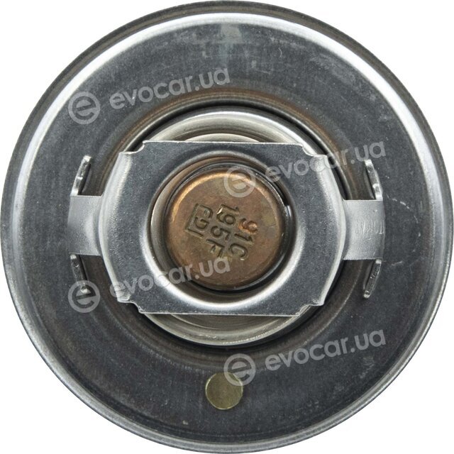 Motorad 702-91K