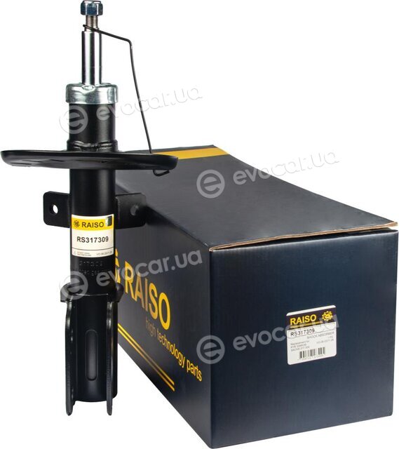 Raiso RS317309