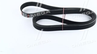 Dongil 6PK1810