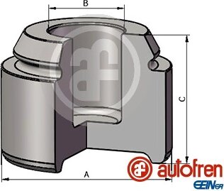 Autofren D025569