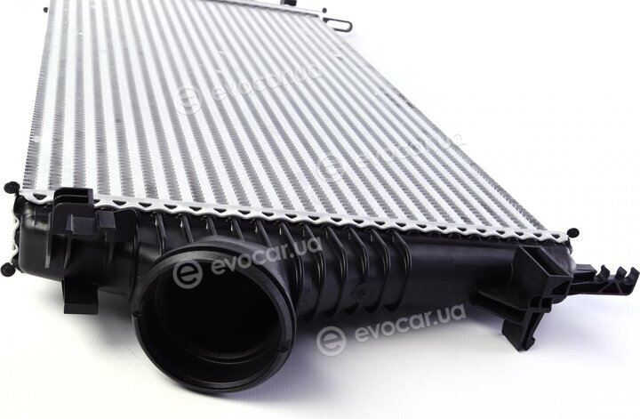 Mahle CI 191 000P