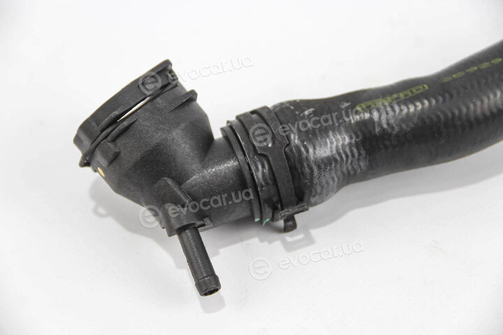 Rapro R25929