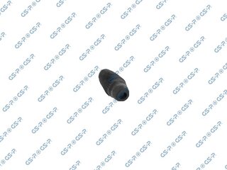 GSP 540166