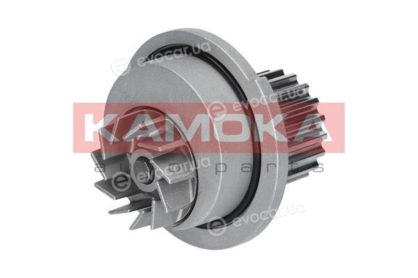 Kamoka T0066
