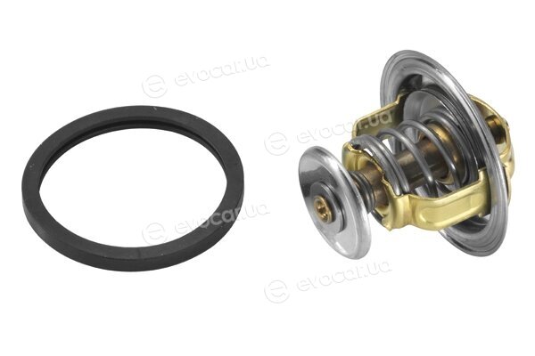 Wahler / BorgWarner 4038.81D