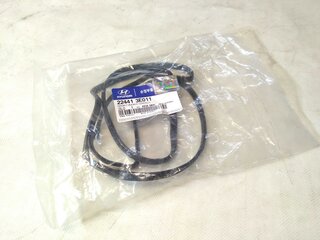 Kia / Hyundai 224413E011