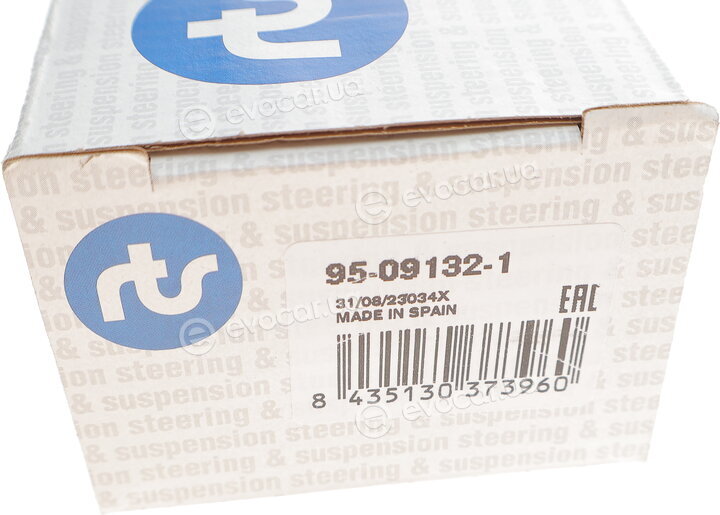 RTS 95-09132-1