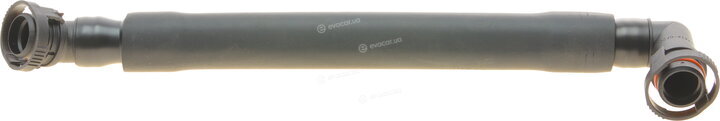 Bogap B1210111
