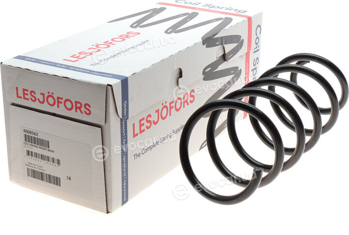 Lesjofors 4008562