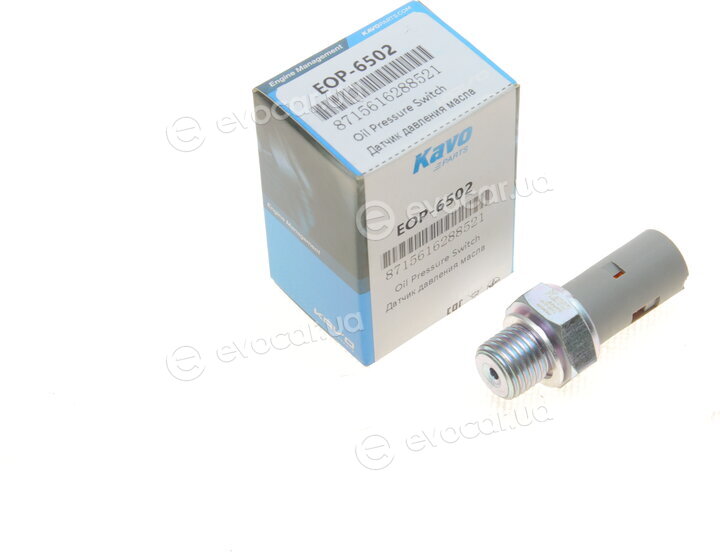 Kavo EOP-6502