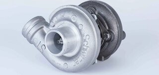 BorgWarner 313818