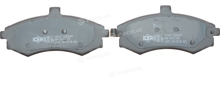 Icer 181643