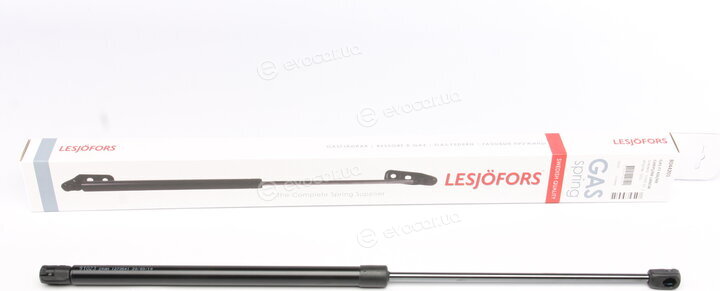 Lesjofors 8044201