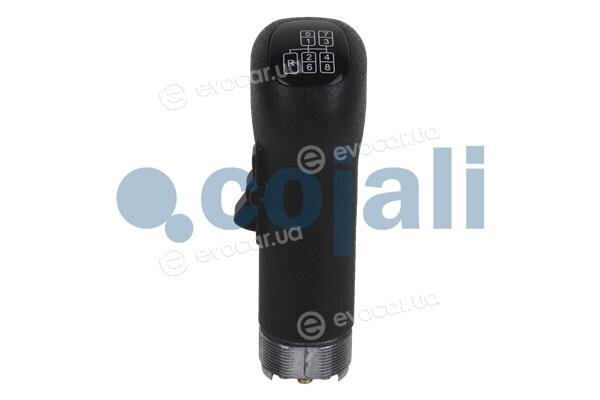 Cojali 2880141