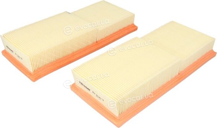 Filtron AP 034/3-2x
