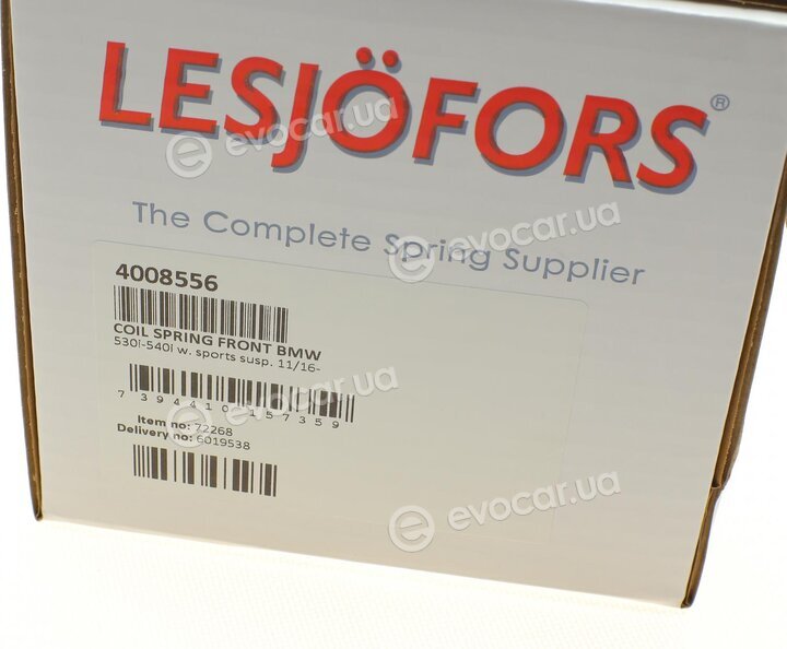 Lesjofors 4008556