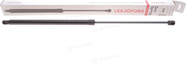 Lesjofors 8195095