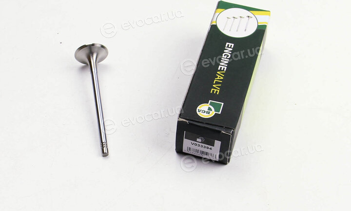 BGA V033394