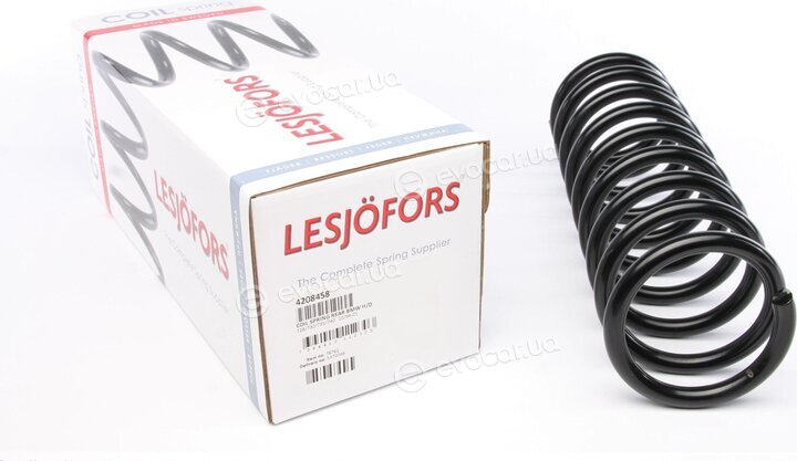Lesjofors 4208458