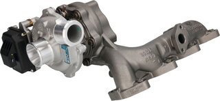 BorgWarner 16389880014