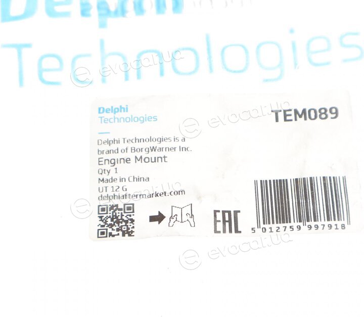 Delphi TEM089