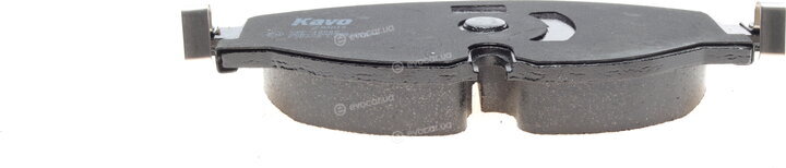 Kavo KBP-10002