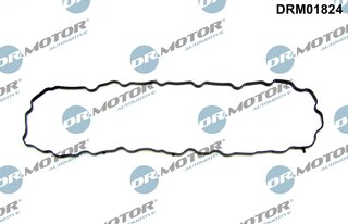Dr. Motor DRM01824