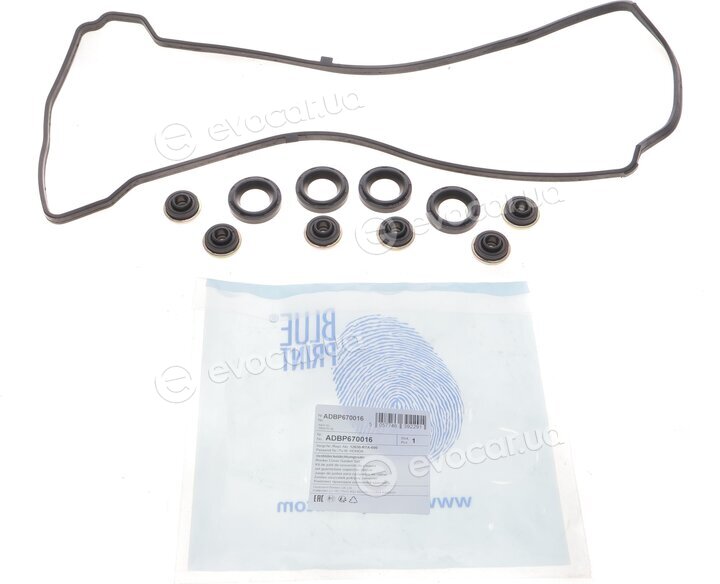 Blue Print ADBP670016
