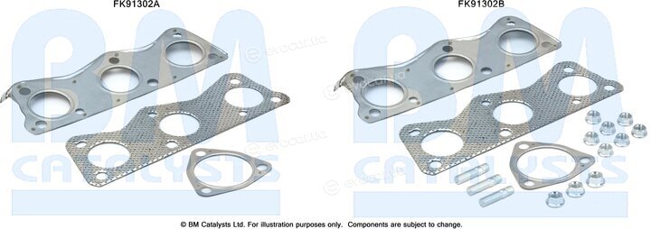 BM Catalysts FK91302