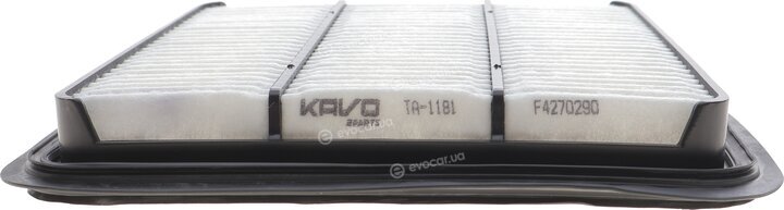 AMC TA-1181