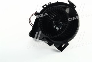 AVA OL8609