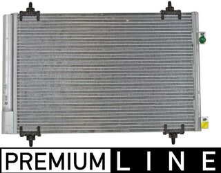 Mahle AC 667 000P